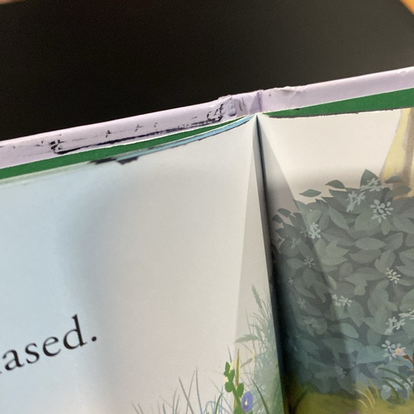 Disney Bunnies: Thumper Finds A Friend - Hardcover Children’s Book - Picture 11 of 11